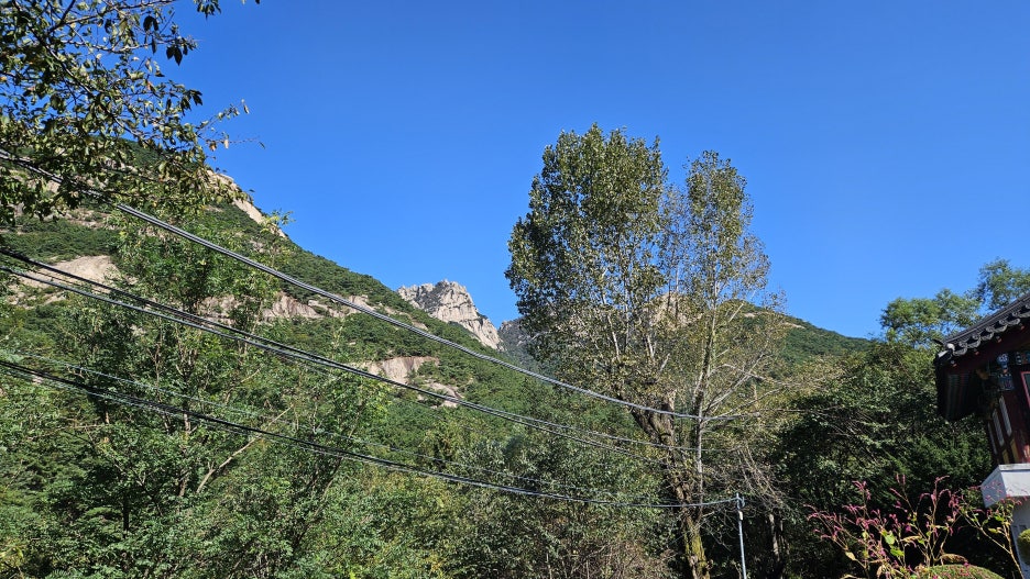 20251008_135620.jpg