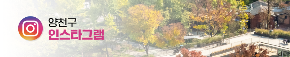 브로콜리 지역정보 관련 사진 5