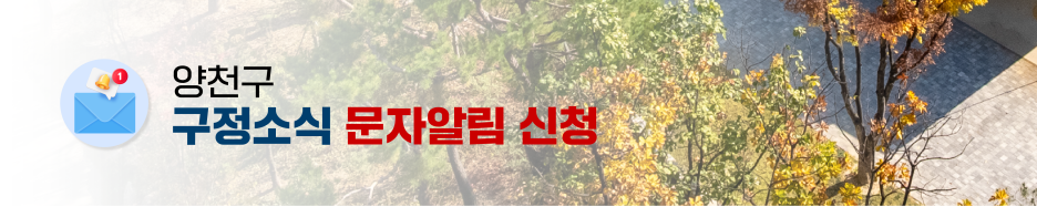 브로콜리 지역정보 관련 사진 9