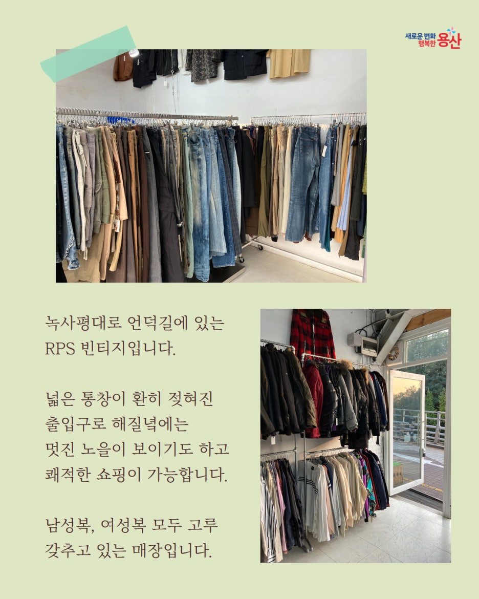 브로콜리 지역정보 관련 사진 4