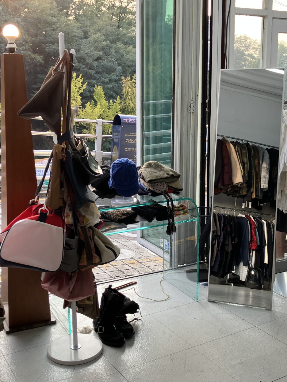 브로콜리 지역정보 관련 사진 5