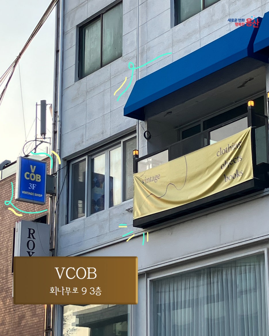 브로콜리 지역정보 관련 사진 6