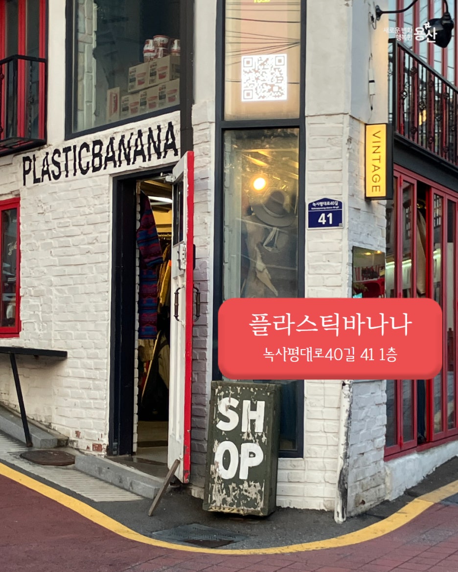 브로콜리 지역정보 관련 사진 12