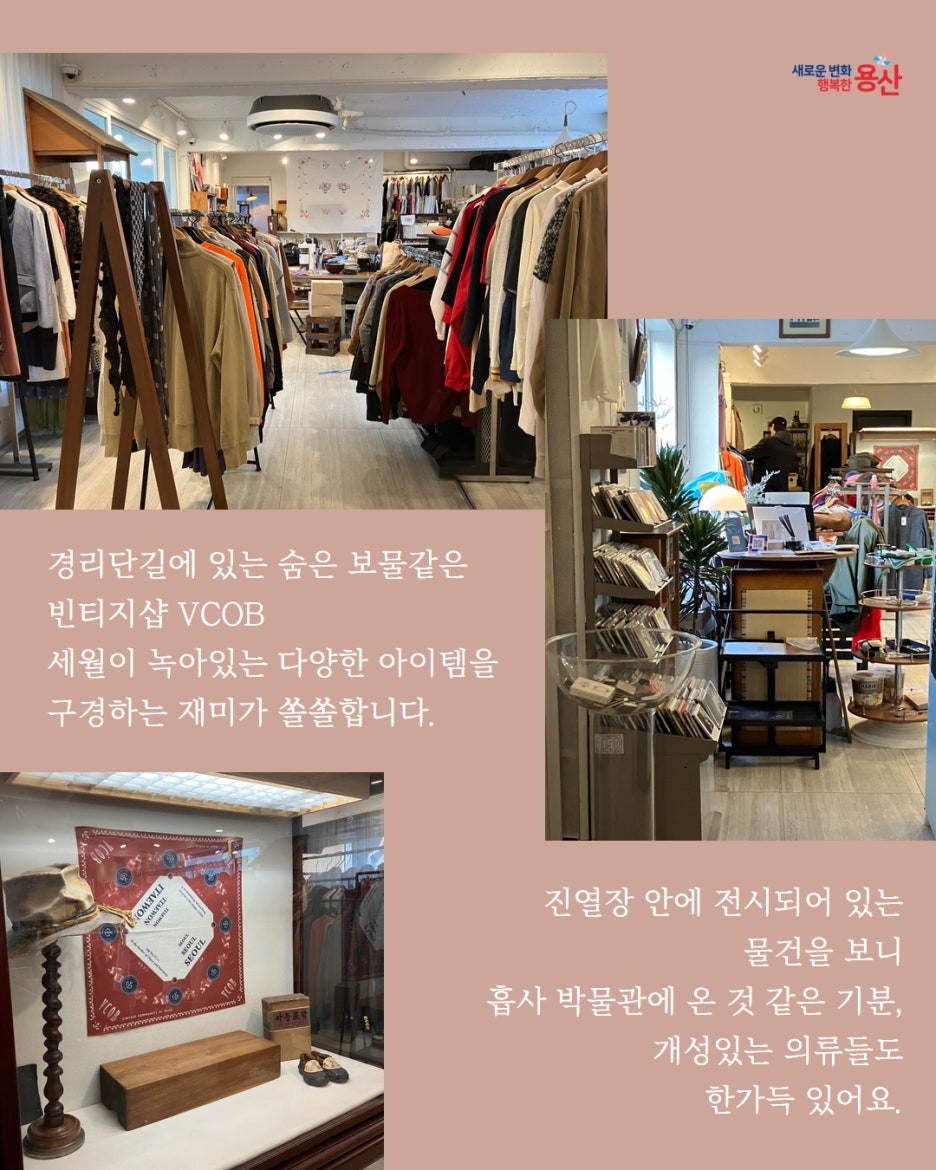 브로콜리 지역정보 관련 사진 7