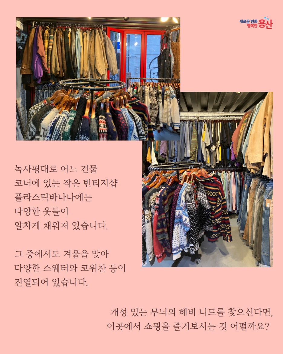 브로콜리 지역정보 관련 사진 13