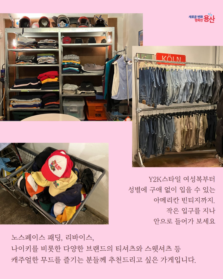 브로콜리 지역정보 관련 사진 10