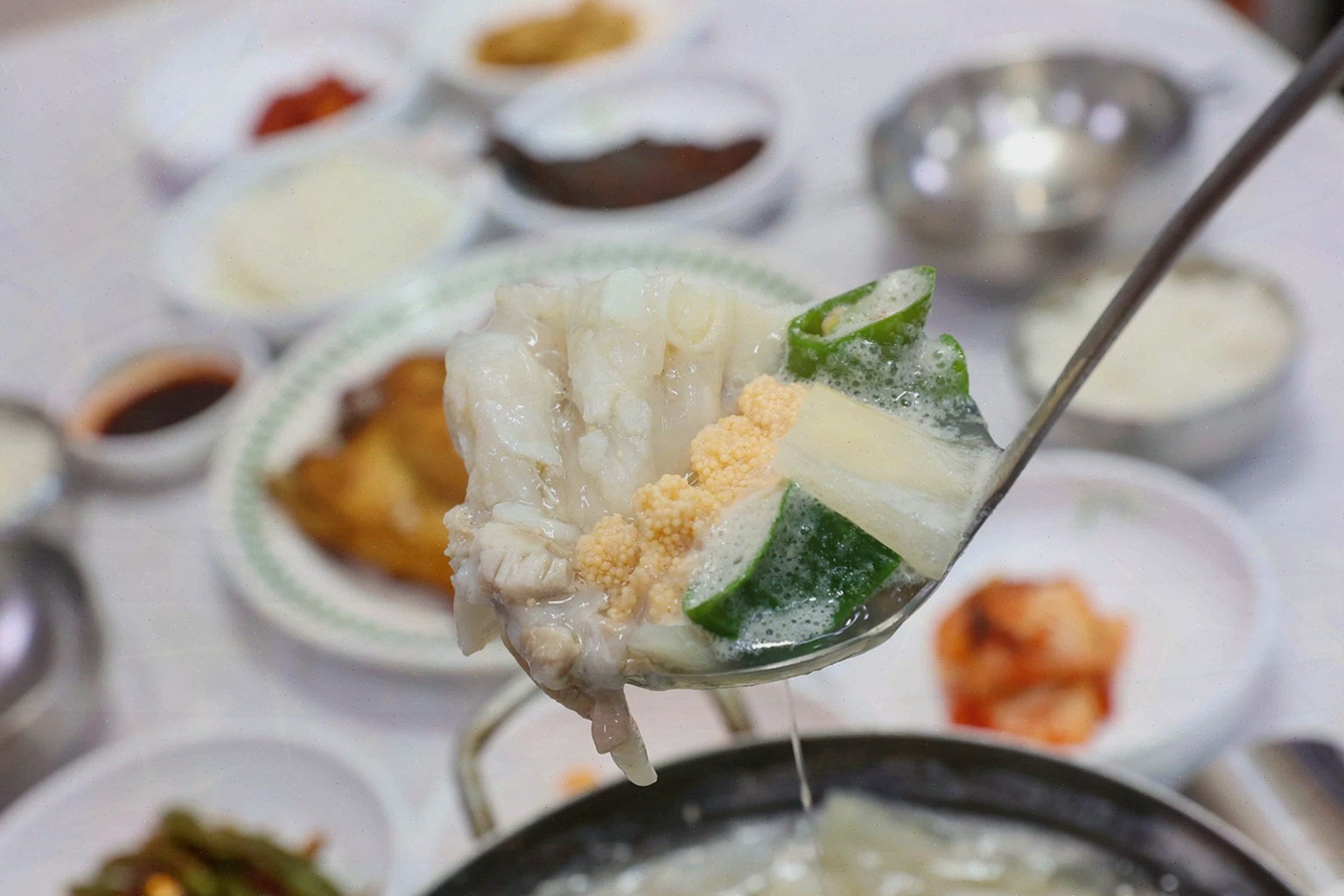 속초곰치국 7