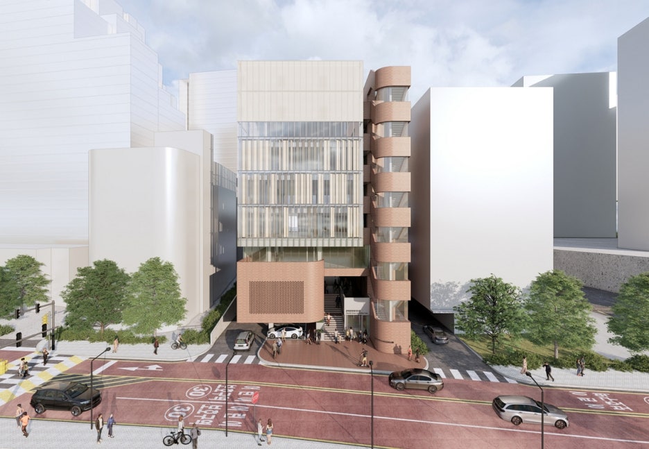 브로콜리 지역정보 관련 사진 2