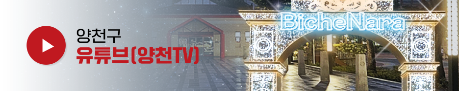 브로콜리 지역정보 관련 사진 8