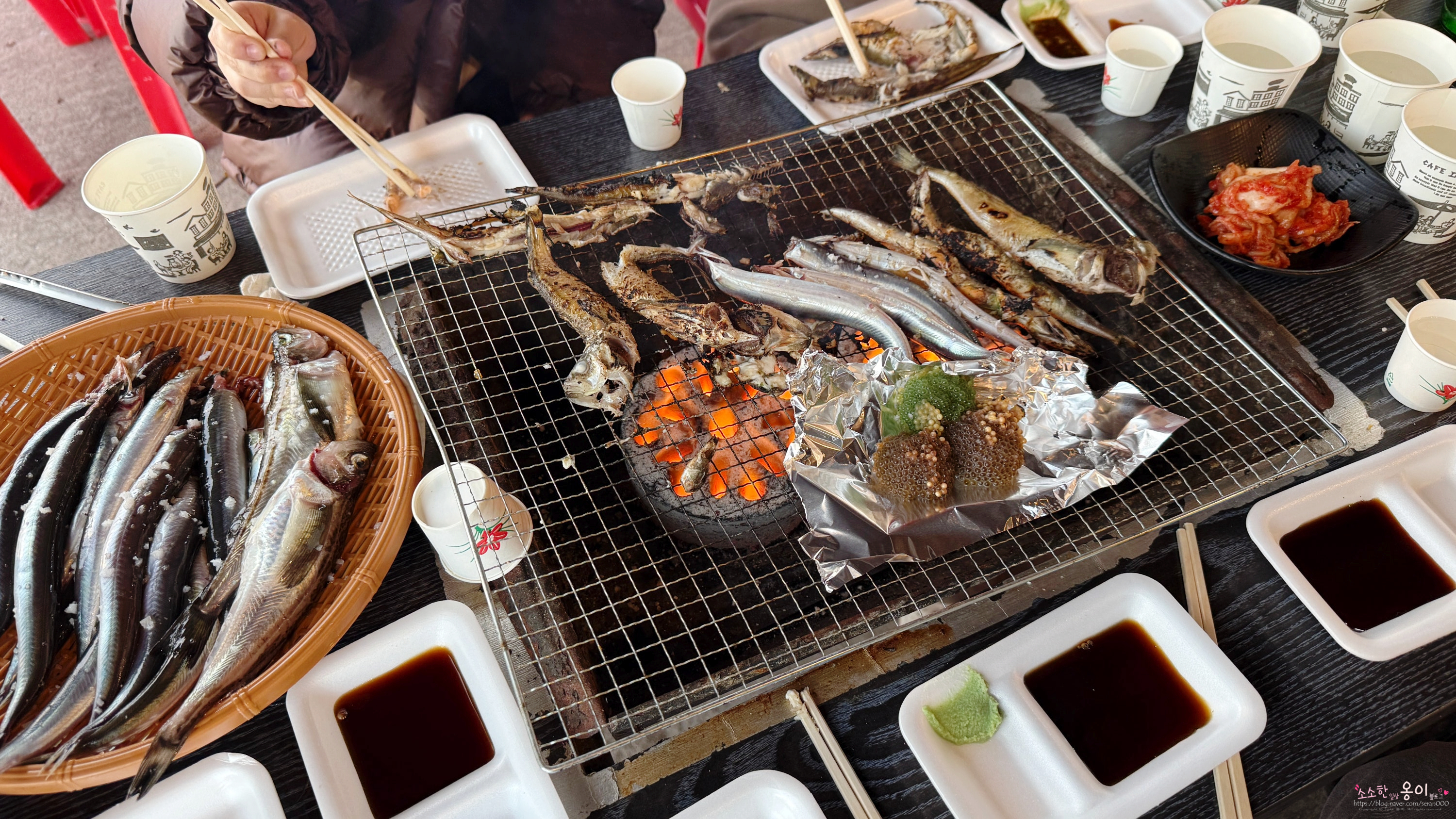 금성호 4