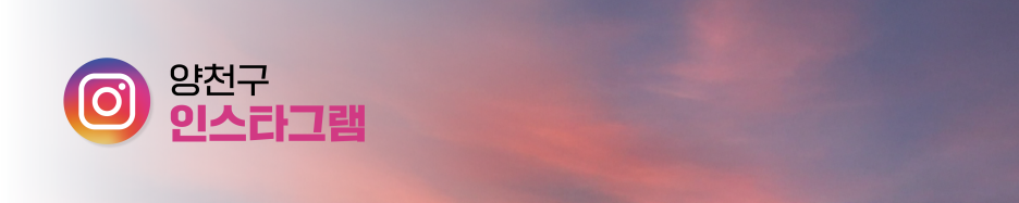 브로콜리 지역정보 관련 사진 5