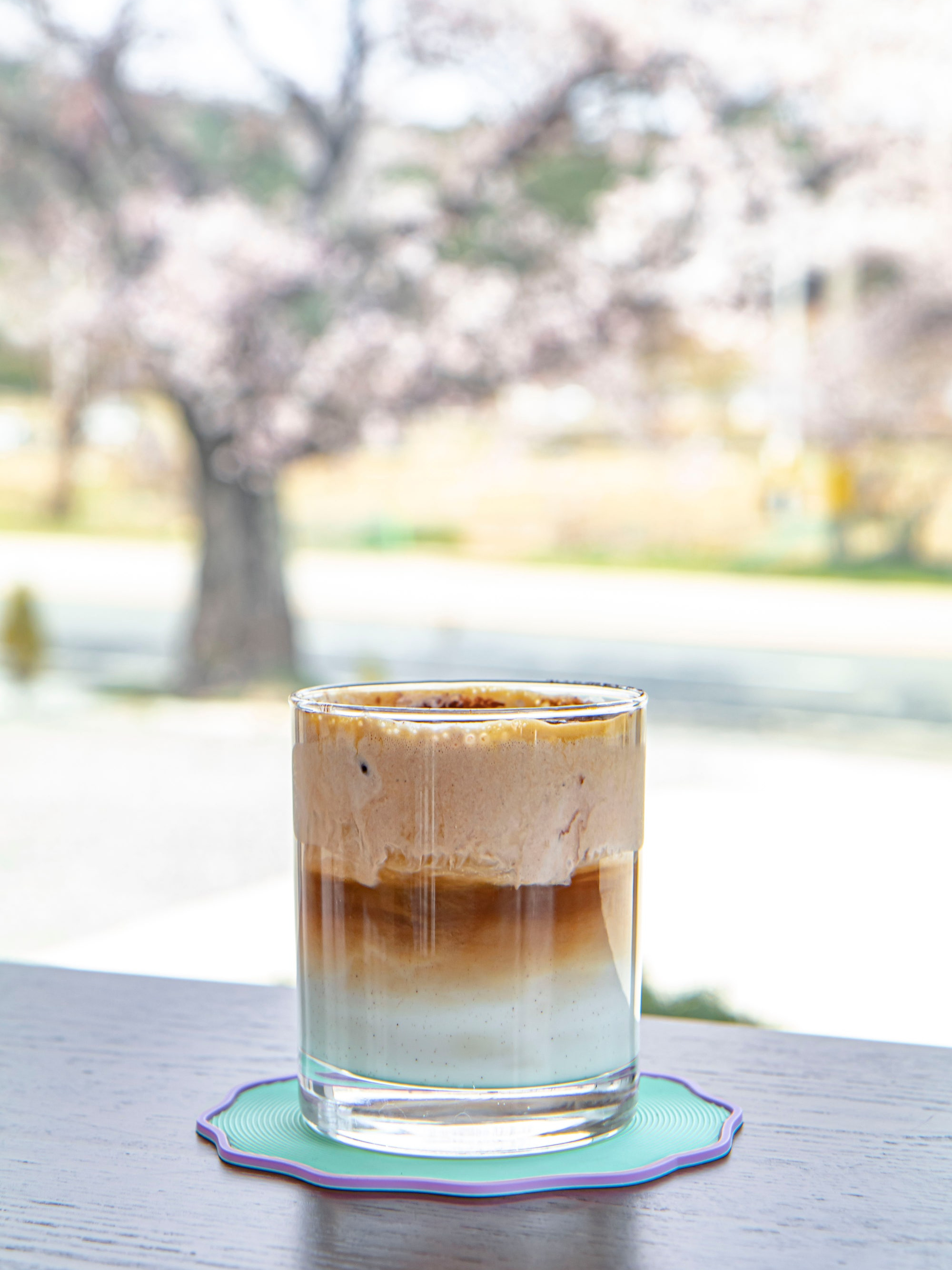 돌담카페 (Doldam Cafe) 8