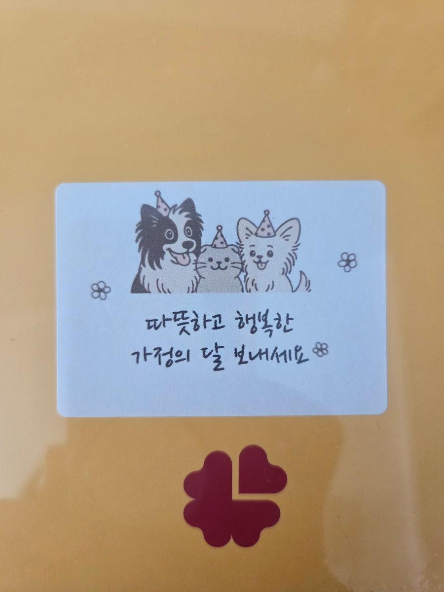 코코호도 조양점 5