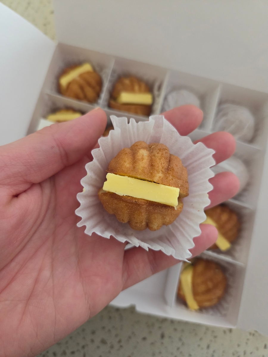 코코호도 조양점 6
