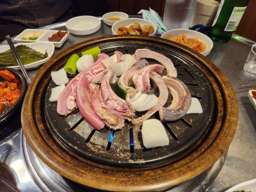 아나고와꼼장어 5