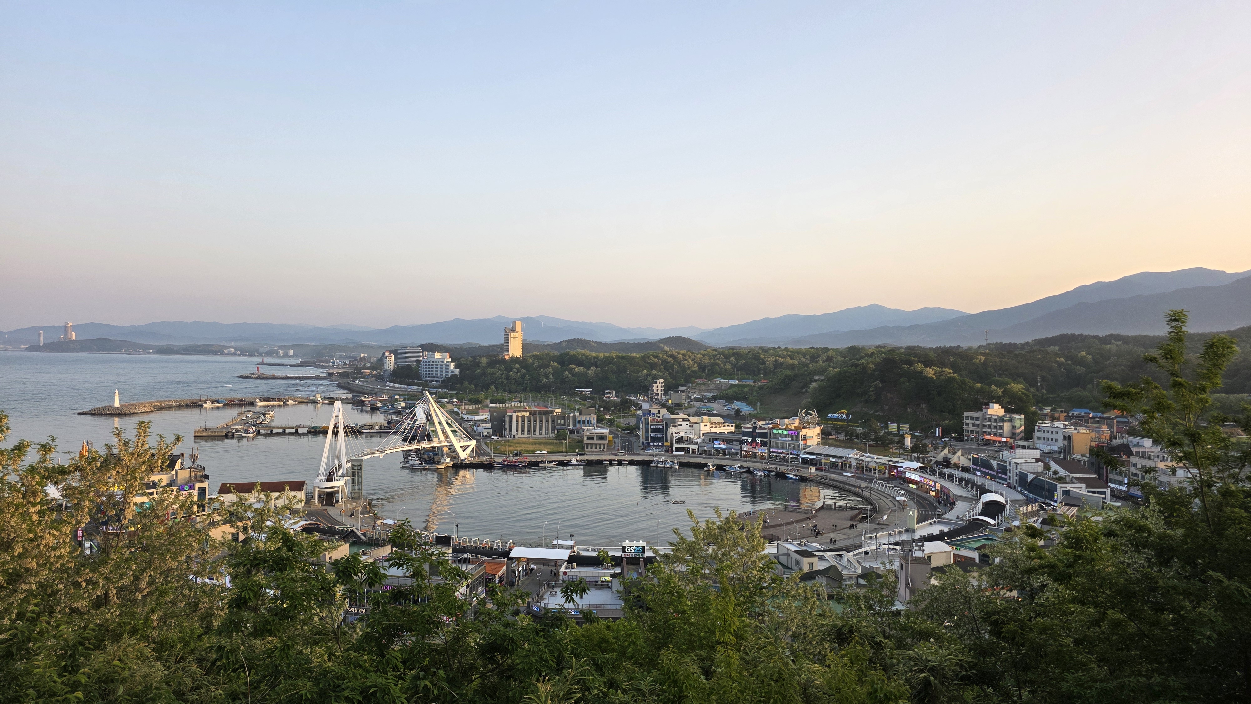 대포항전망대 (Daepohang Jeonmangdae) 4