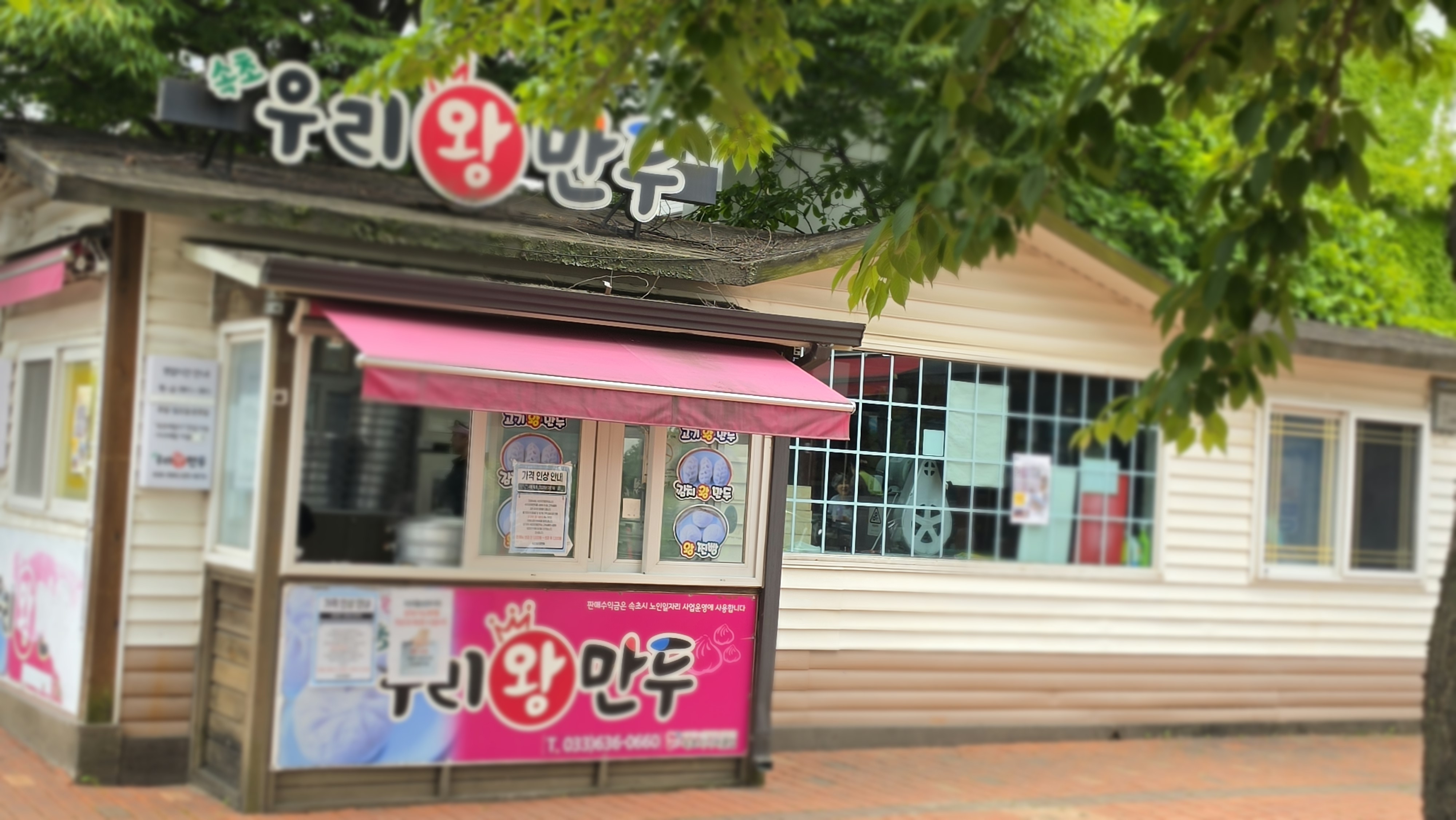 속초에살다 6