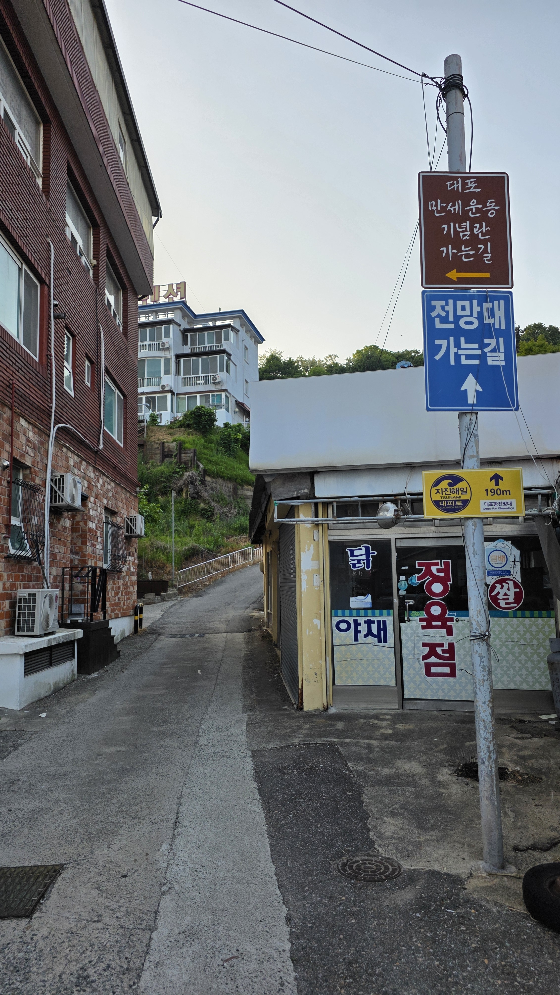 대포항전망대 (Daepohang Jeonmangdae) 3