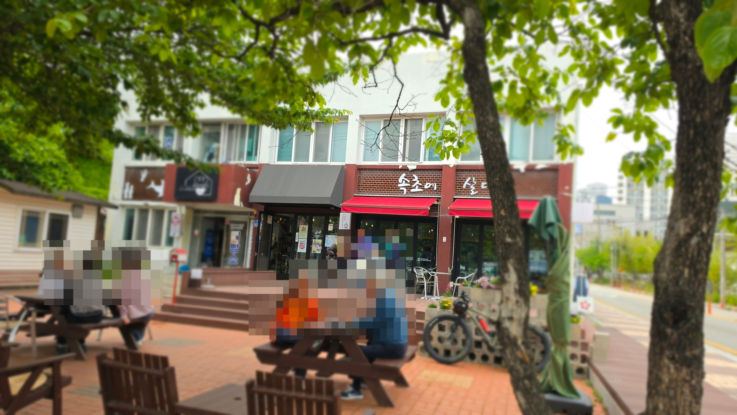 속초에살다