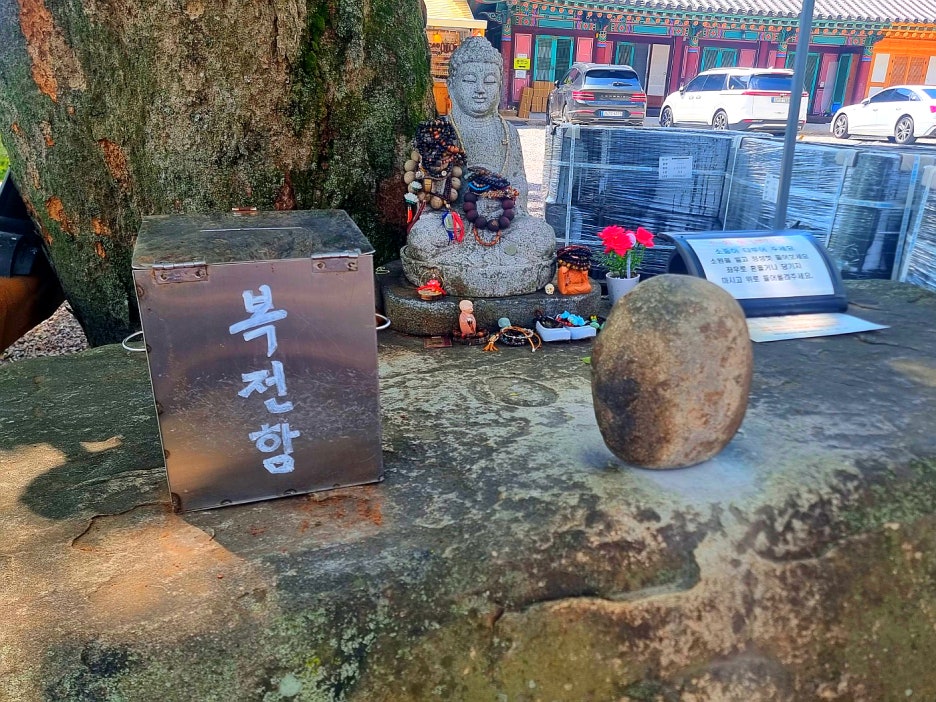 만어사 절 마당에서 바라본 탁 트인 산 전망