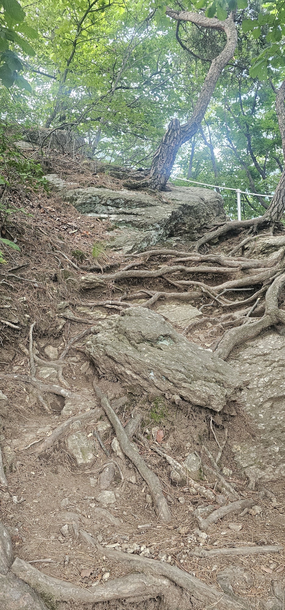 20260627_080225.jpg