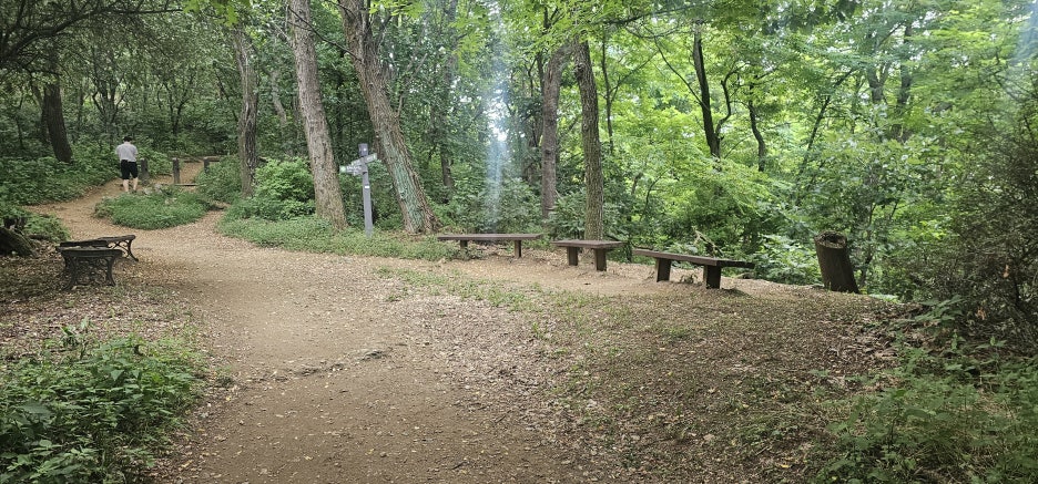 20260627_072545.jpg