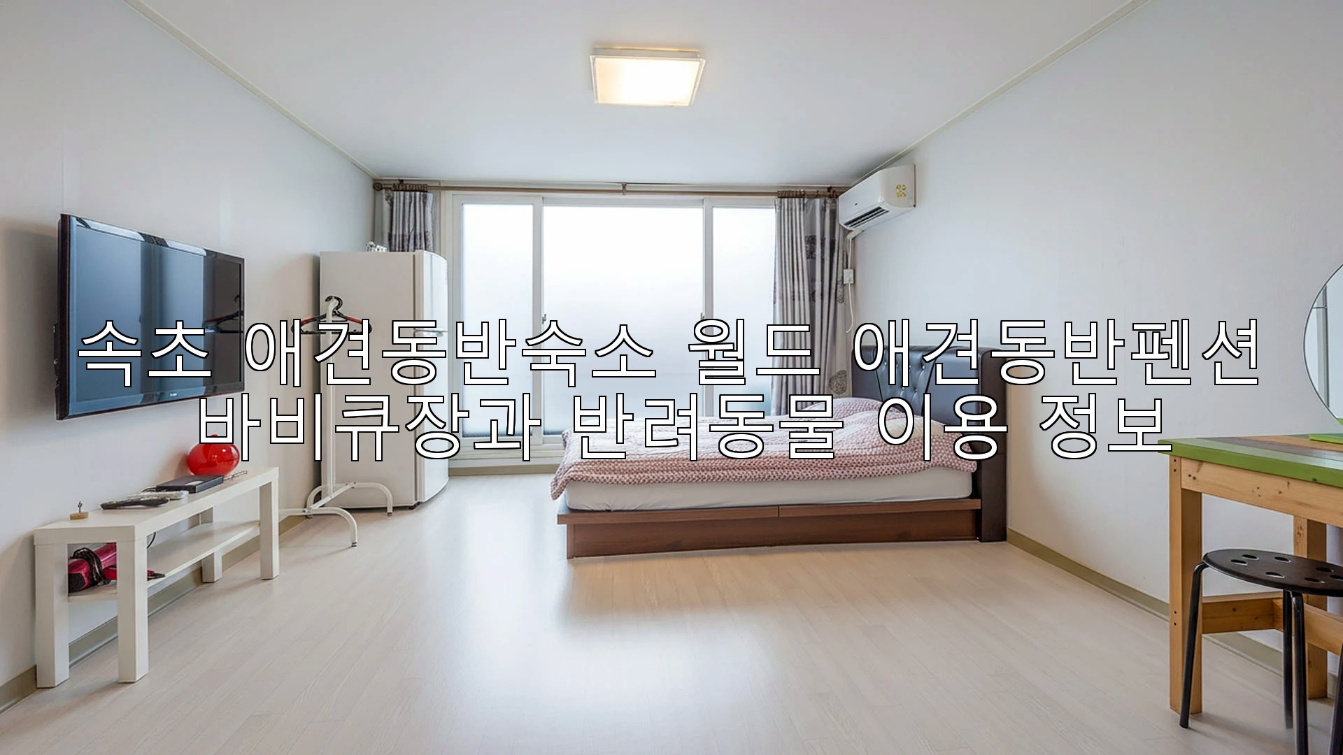 속초 월드애견동반펜션 9