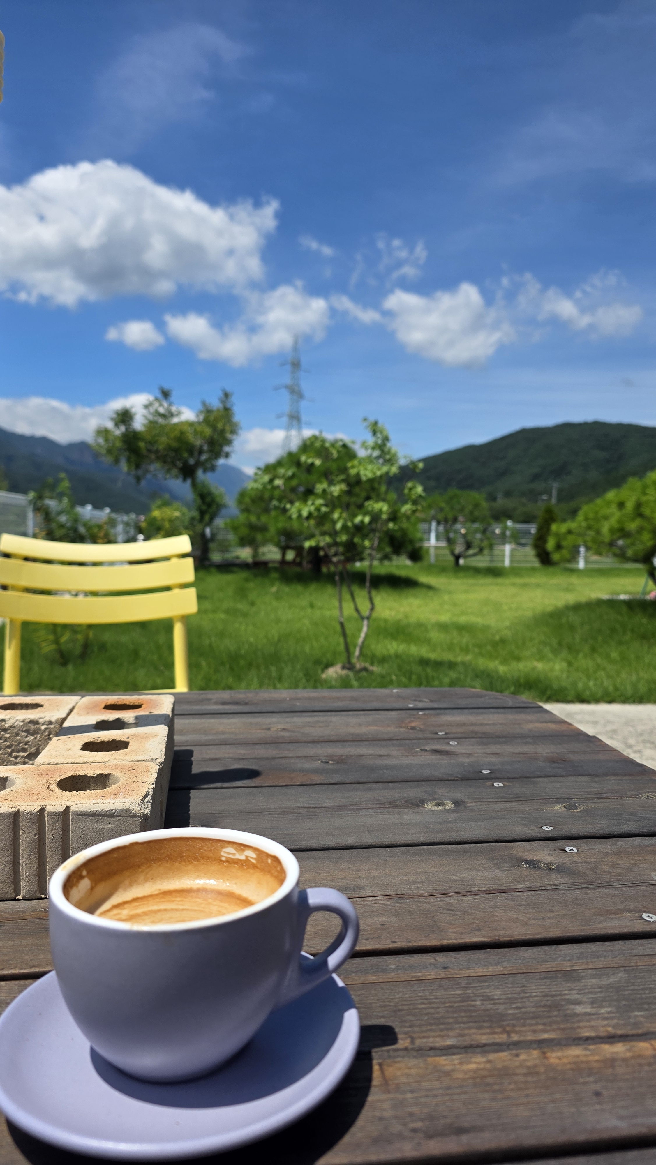 돌담카페 (Doldam Cafe) 7