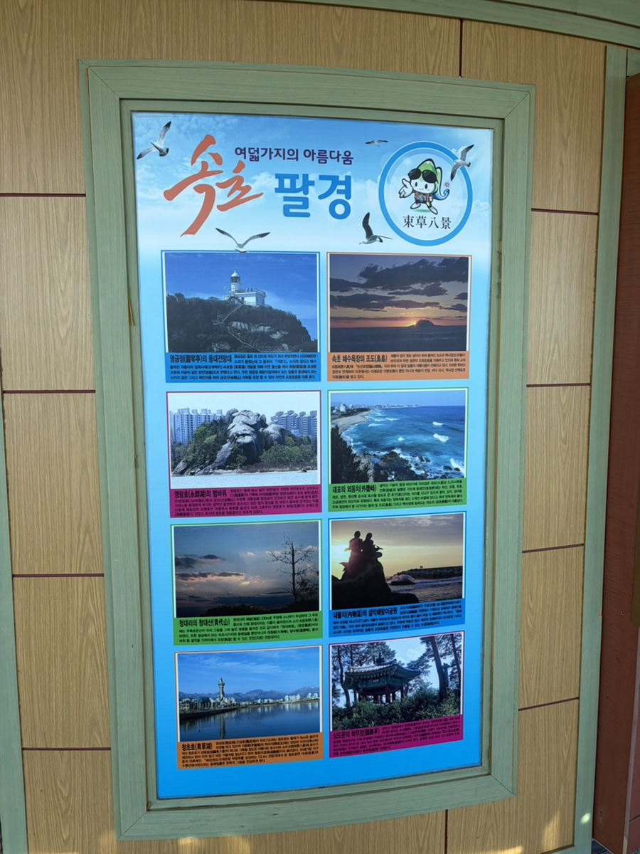 피노디아 엑스포타워 6