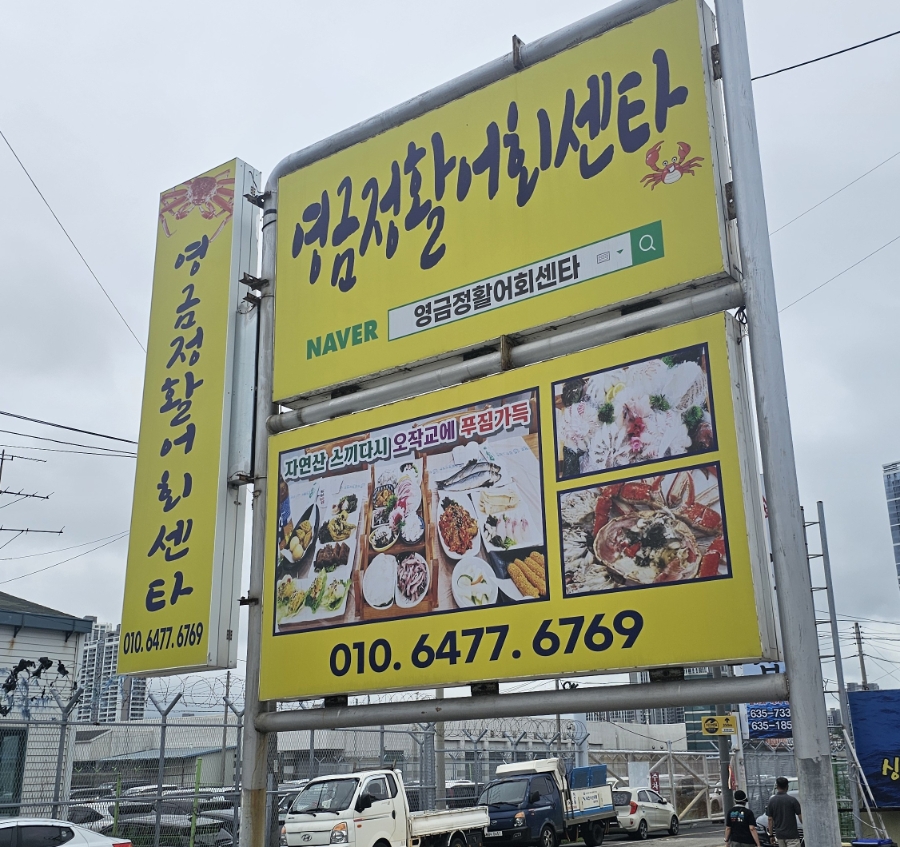 영금정활어회센타 6