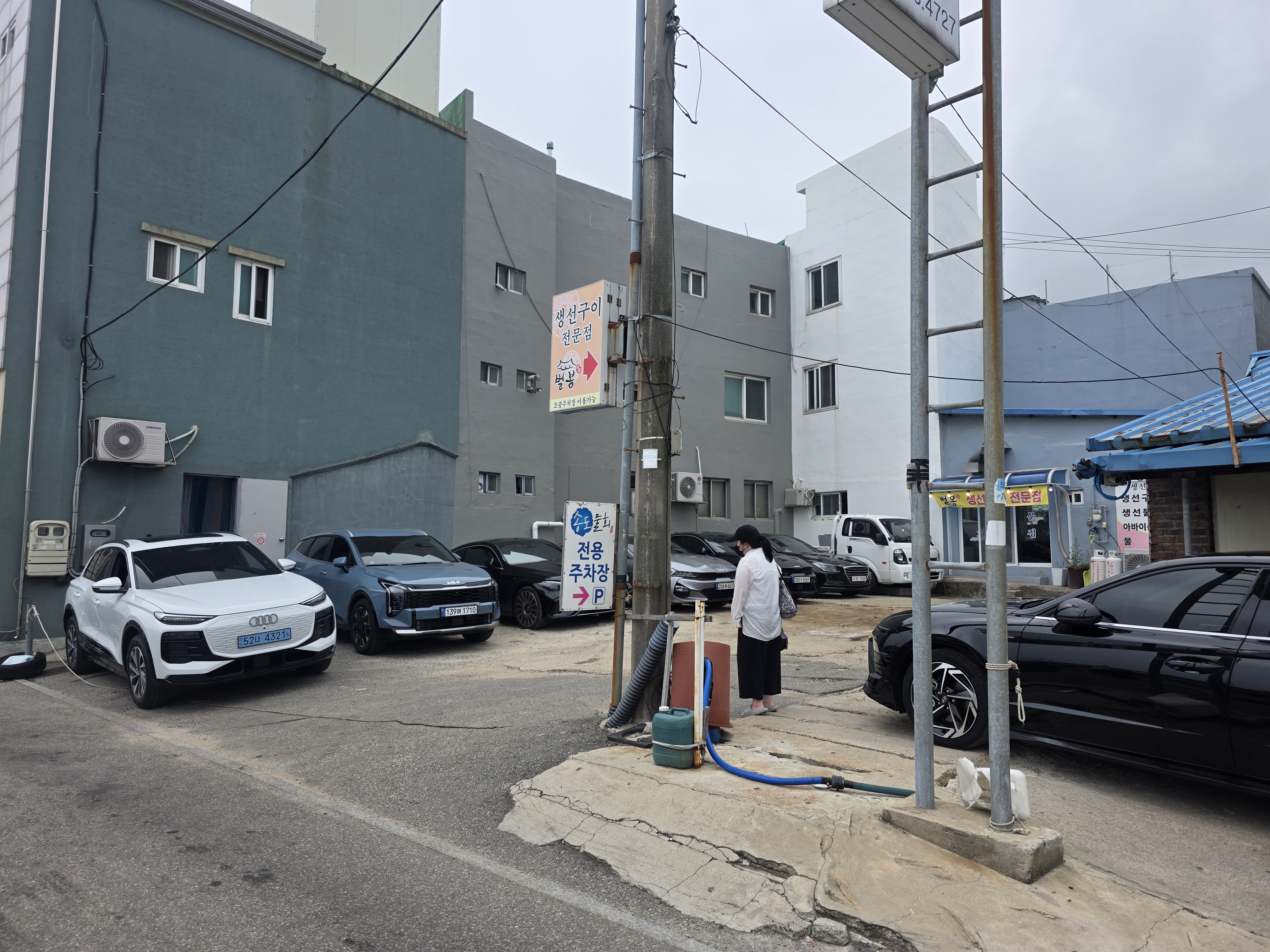 송도물회 10