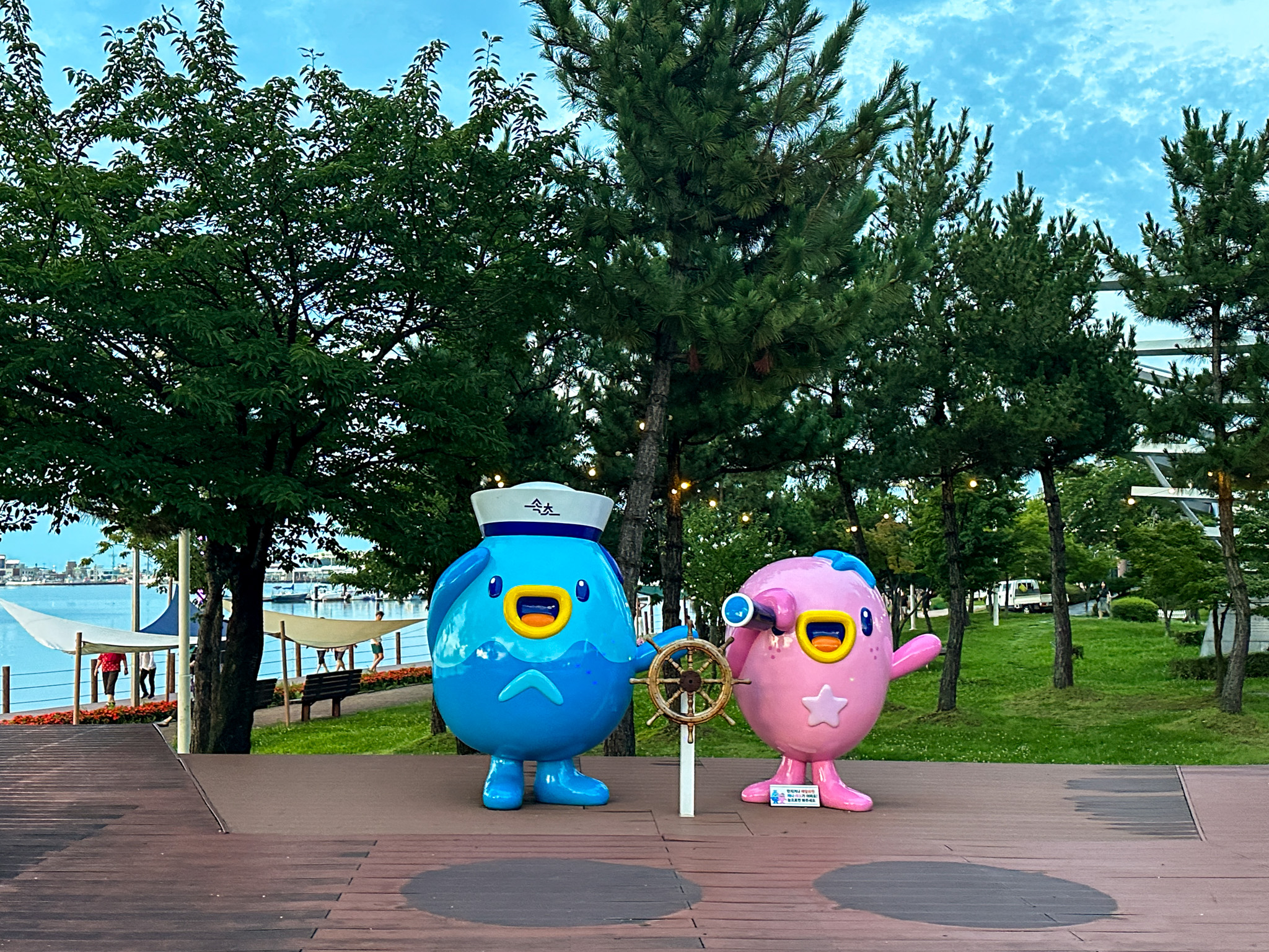 청초호 (Cheongchoho) 6