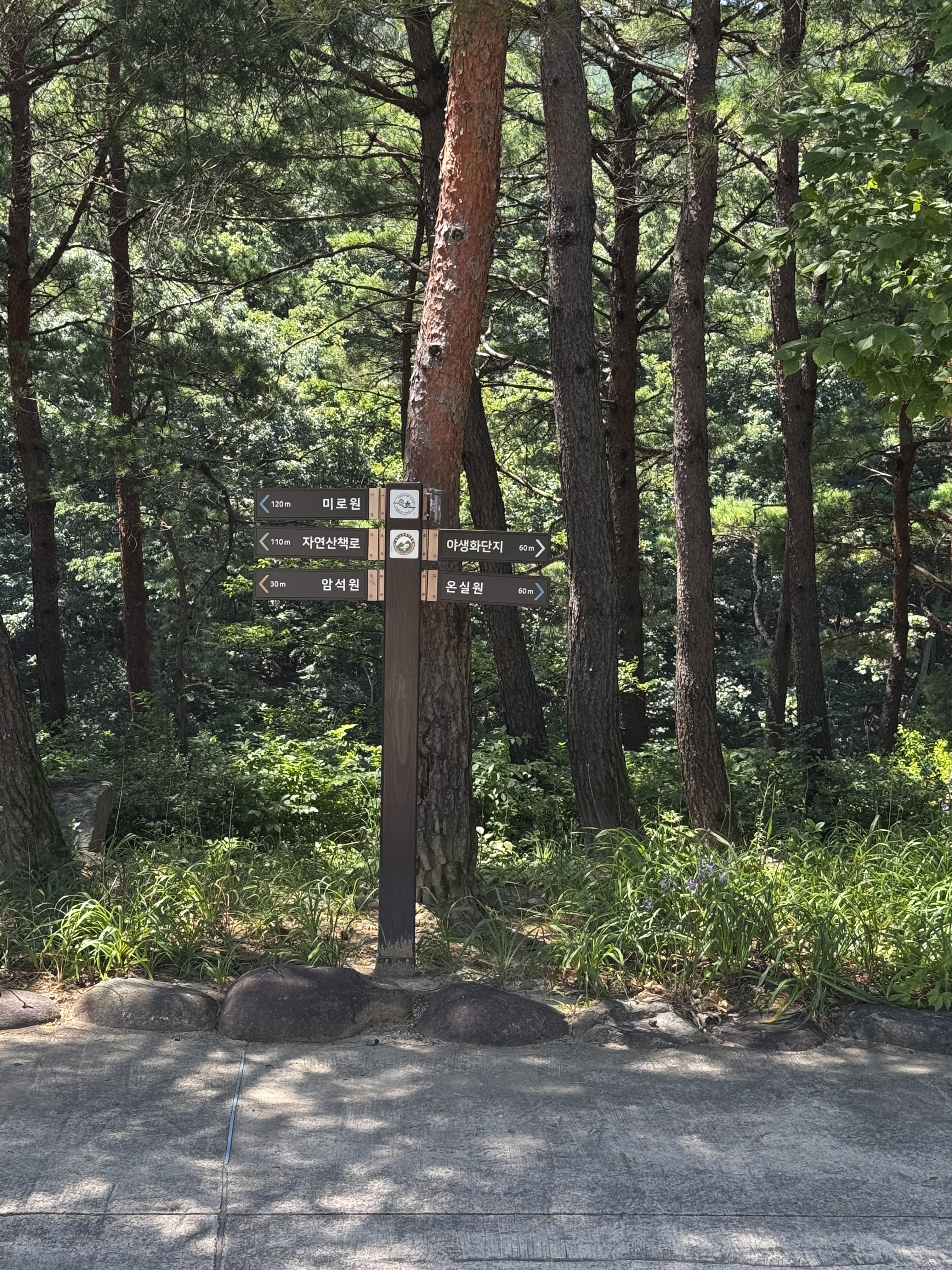 설악산 자생식물원 (Seoraksan Jasaeng Sikmurwon) 7