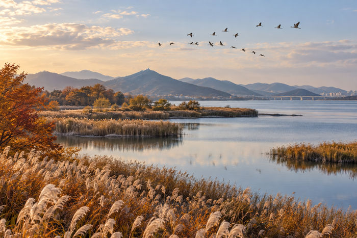 Geumgang Lake, Gunsan