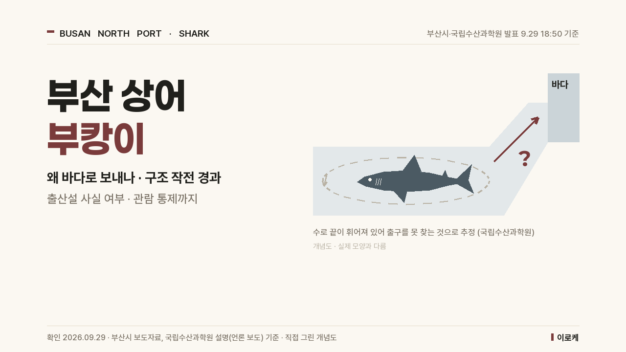 이름 '부캉이'(북항이). 부산시설공단이 붙였고, 9월 29일 부산시 명예홍보대사가 됨 지금 상태 9월 29일 1차 유도작전 실패. 수로에 머무는 중 다음 계획 10월 2일쯤 그물과 워터펌프로... 9월 29일구조 작전, 어떻게 했고 왜실패했나작전은 국립수산과학원을 중심으로 부산시, 부산항만공사, 부산시설공단, 해경, 소방, 경찰, 동구가 함께 진행했습니다. 방식은 상어...