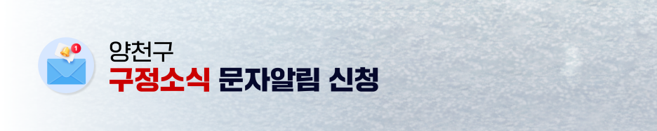 브로콜리 지역정보 관련 사진 9