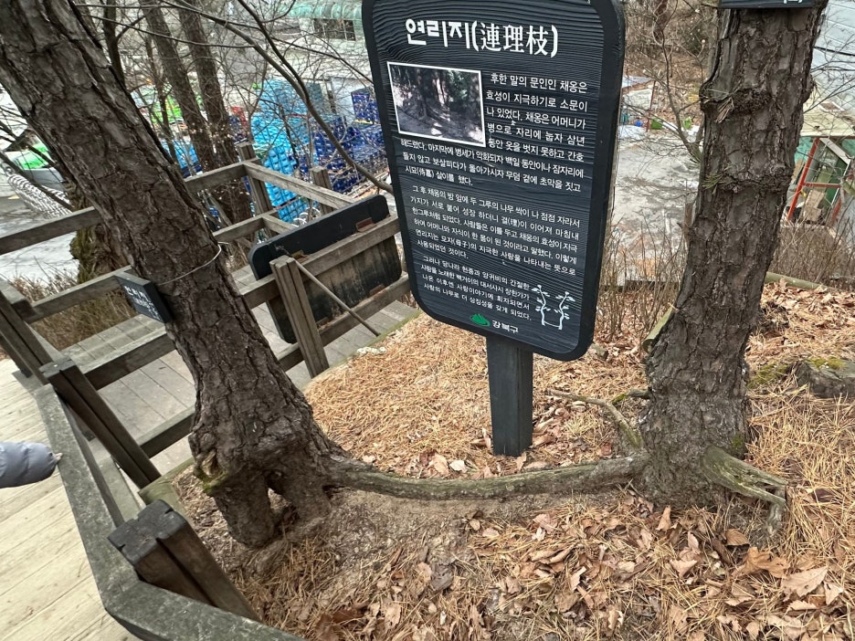 구름산추어탕 광화문점 사진 5