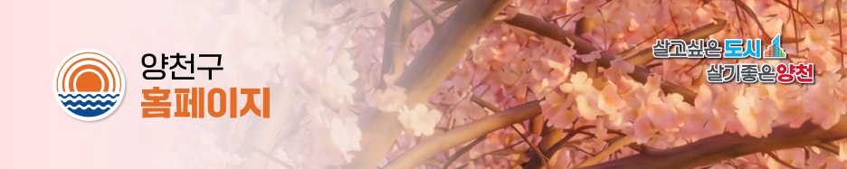 브로콜리 지역정보 관련 사진 6