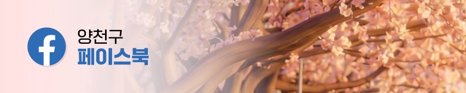 브로콜리 지역정보 관련 사진 8