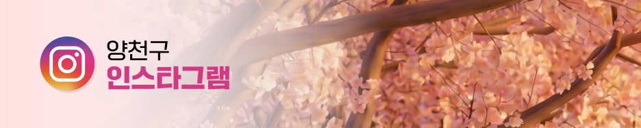 브로콜리 지역정보 관련 사진 7