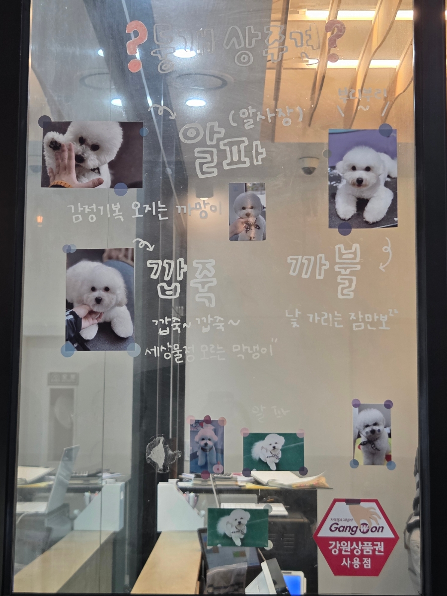 둥개둥개 7