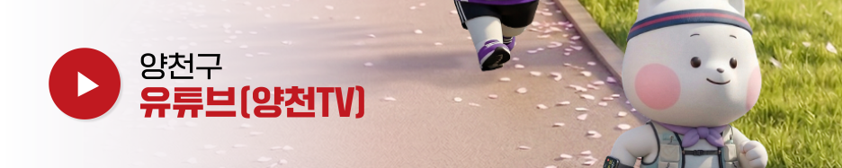 브로콜리 지역정보 관련 사진 8