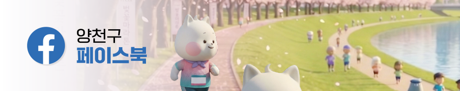 브로콜리 지역정보 관련 사진 6