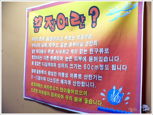 불티꼼장어 이미지