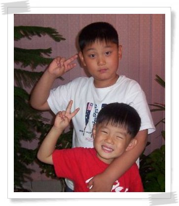 참빗과 얼레빗 이미지