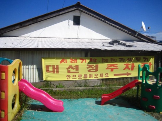 대선정 이미지