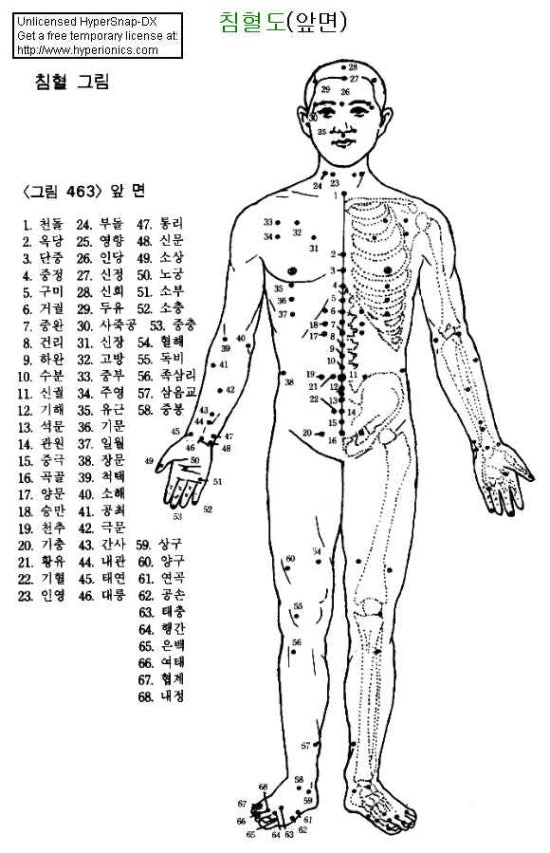 경혈 명칭의 유래와 혈의 위치 찾는 요령. : 네이버 블로그