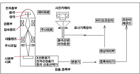 주사전자현미경(Sem)의 원리,특징,용도,구조,및 다른 현미경과 비교 : 네이버 블로그