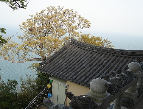 태백안동축산 이미지