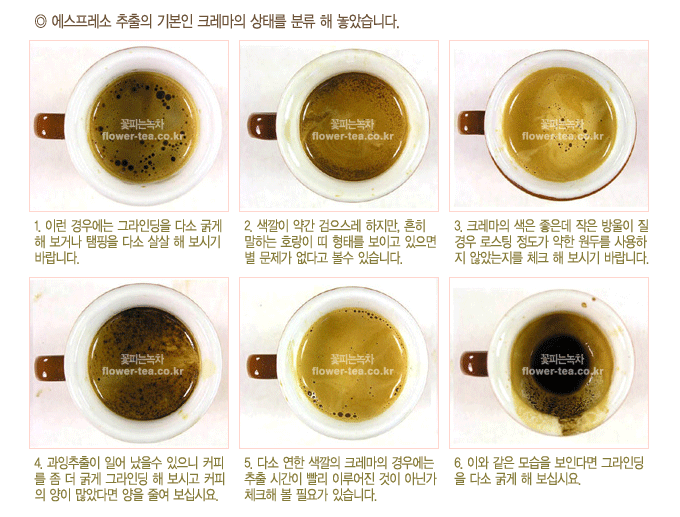 크레마 이미지